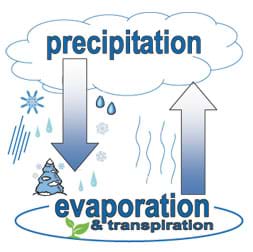 Diagram shows circular relationship between precipitation and evaporation/transpiration using arrows and snow/rain coming from a cloud.