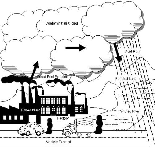 Essay on government welfare