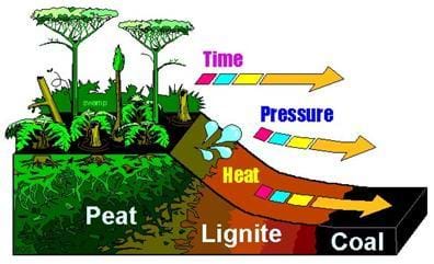 Fossil fuels &mdash; like coal, oil and natural gas &mdash; were formed millions of years ago from a carbon-containing substance called peat that, over time, was subjected to very high pressures and temperatures.