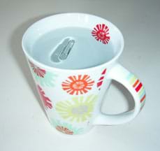 Photo of a paper clip floating on the surface of water in a cup.