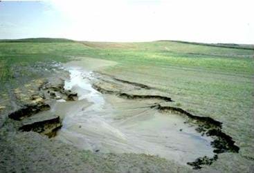  Image of a field with a muddy pool cut out of the land that has been caused by water erosion.