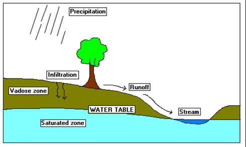A colorful drawing that shows the ground with a tree, a stream and the groundwater underneath the ground.