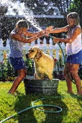 Photo shows girl holding thumb over running hose to make it spray at another girl and dog.