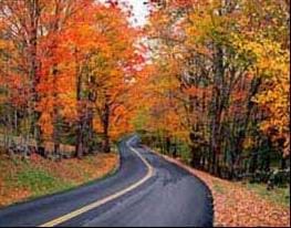 A photograph of a two-lane road leading through a colorful thicket of trees.