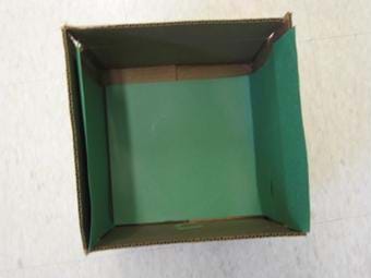 A photograph of 1 foot by 1 foot box with an open top. Green construction paper (or, wallpaper) has been added to the bottom and two sides of the box.