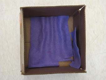 A photograph of 1 foot by 1 foot box with an open top. Blue felt (or, curtains) has been added to the bottom and one side of the box.