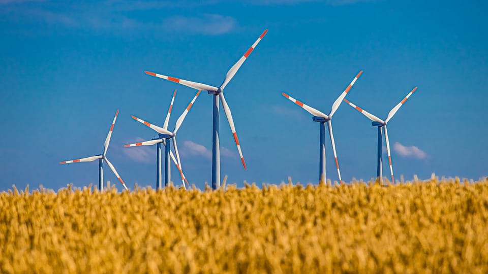 Spinning blades in a field of wind turbines.
