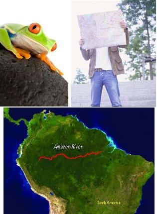 Three images: Photo of a man reading a paper map. Map of northern half of the South American continent showing the Amazon River as a long red line across a deep green region. Photo of a bright green frog with orange feet and bulging red eyes on a black rock.