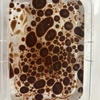 Oil dyed brown floats in water. The oil forms round bubbles to avoid mixing with the water as much as possible.