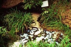 A photograph shows contaminated water.