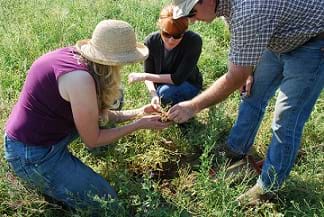 Three conservationists discuss soil health.