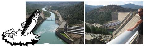 A line drawing of a jumping fish overlaps two photos that show the huge concrete structure of a dam looking upstream from below the dam, and looking downstream at a curving narrow river below the dam. 