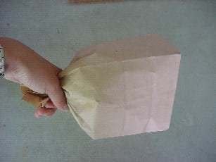 Photograph of a hand holding the neck of a closed a paper bag, plump with air.