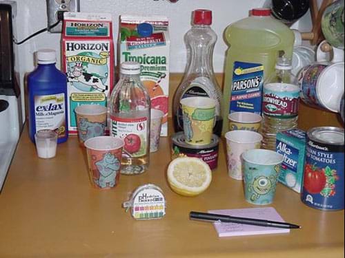 Photograph of the ingredients to complete this experiment including paper cups, oil, milk, OJ, vinegar, juice and pH paper.