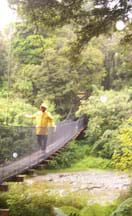 A person in a yellow slicker walks on long narrow bridge over a stream.