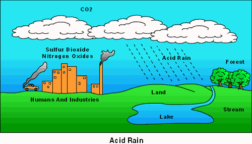 A colorful drawing buildings and cars giving off sulfur dioxide and nitrogen oxides, CO2 collecting in the clouds, polluted (acid) rain coming down in forests, lakes and streams.