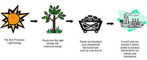 A graphic illustrates how plants turn the sun's light energy into chemical energy. When the plants die they are compressed into fossil fuels such as coal and oil, which are burned in power plants to create electricity.