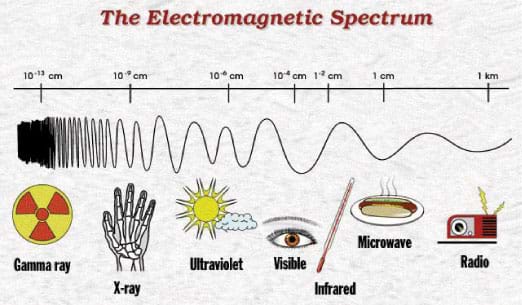 A diagram shows a range of wavelengths: gamma rays, x-rays, ultraviolet, visible, infrared, microwave and radio—and examples of them, such as a radio, microwaved food, a seeing eye, the Sun, bones of an x-ray of a hand.