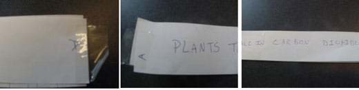 Three photos: (left) hand-written letter "A" on the end of a long strip of adding machine tape with a piece of sticky tape adhered to half of its edge, (center)  hand-written word "Plants..." on a long strip of paper, (right) hand-written words "take in carbon dioxide" that finish off a description of one cycle of nature.