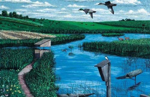 An artist's depiction of numerous improvements that can be made to restored wetlands to enhance the wetlands for benefits to wildlife. Scott Patton, artist.