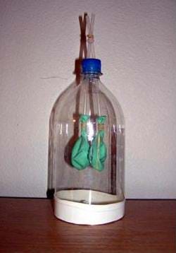 A photo shows a 2-liter bottle with two straws sticking through its screw-on cap. A balloon is held onto the ends of each straw with a rubber band. The bottom of the bottle has been cut off and a third, larger balloon covers the opening.