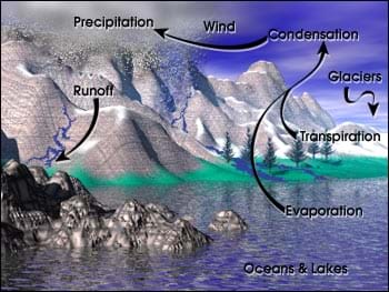 A landscape diagram with arrows to show the movement of water via evaporation, transpiration, condensation, wind, precipitation and runoff.