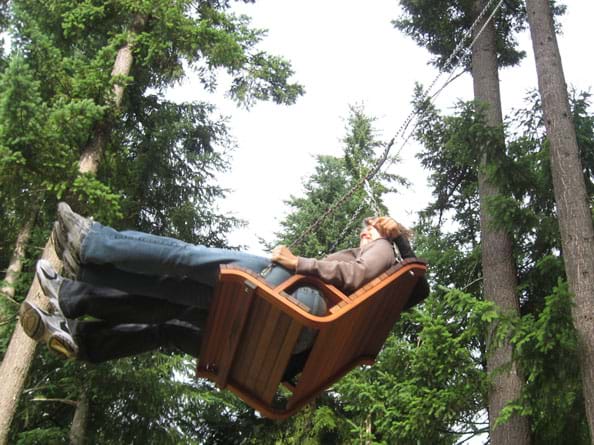 Photo shows two adults on a two-person swing hanging from very tall pine trees, on the upswing arc.