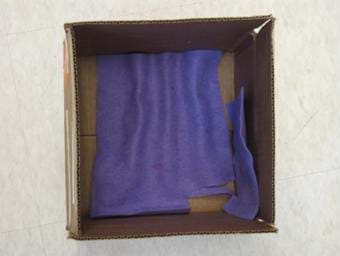 Photo looking into a box from above with blue felt on the bottom and one inner side wall.