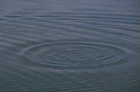 Photograph of ripples on a pond.