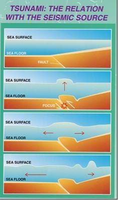 Image of four vertical panels illustrating how tsunamis are formed. From the bottom up, the ocean floor lifts up at a fault, forming and then pushing up a wall of water. The water then flows away from the fault, creating a wave of water that increases in height (amplitude) as it moves toward shore.