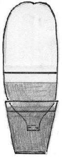 A sketch shows a 2-liter bottle inverted with its neck in a container of water. The water level in the inverted bottle is below a marked line on the bottle.