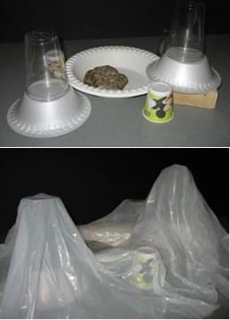 Two photos: An arrangement of cups, plates, bowls, rock and wooden block, then covered by a white plastic trash bag to form the catchment terrain.