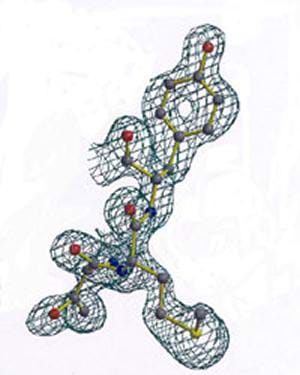 A color drawing looks like a tinker-toy structure of 25 linked nodes surrounded by a mesh netting.