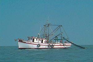 Photo of a commercial shrimp trawler.