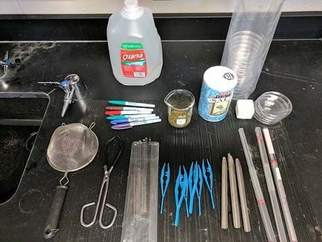 Laboratory equipment is set out in preparation of Option 2, including distilled water, a colander, salt, petri dishes, markers, mung bean seeds, stirring rods, forceps, scupulas, and thermometers. 