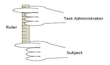 A drawing shows a vertical ruler with test administrator hand holding the top and subject hand placed below the end of the hanging ruler.