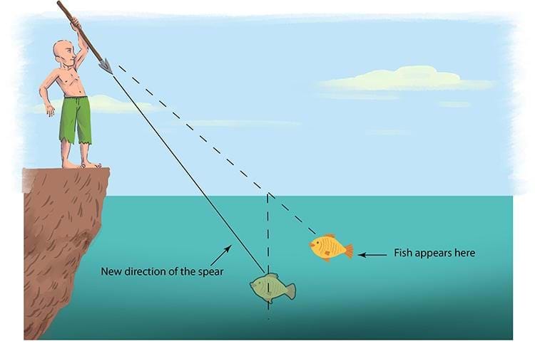 A cartoon image of a fisherman aiming to throw a spear at a fish in water. A solid line shows the anticipated path of the spear to hit the fish where it actually is; it is labeled “New direction of the spear.” A dotted lines shows the path of the spear to hit where the fish appears; a label next to the fish at the end of the dotted line reads “Fish appears here.”