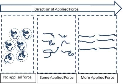 A line drawing shows a polymer reaction when force is applied. With no applied force, the polymers look relaxed and curly. With the increasing application of force, they stretch out and look more stringy.