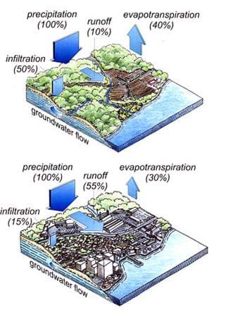 Two similar diagrams show the natural and human-developed water cycles. Both show precipitation as 100%, but vary in infiltration to groundwater flow (50% vs. 15%, natural vs. urban, respectively), runoff (10% vs. 55%) and evapotranspiration (40% vs. 30%). The natural diagram shows plant and tree-covered terrain; the other diagram shows more buildings, structures and pavement with little plant and tree-covered terrain.