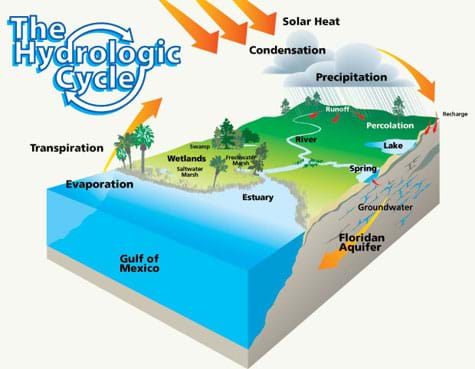 A cube-shaped cutaway diagram shows the hydrologic (water) cycle, including solar heat, condensation, precipitation, recharge, percolation, groundwater replenishment (Floridan aquifer), evaporation and transpiration processes happening between the atmosphere, land, ocean (Gulf of Mexico).