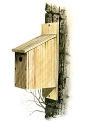Drawing shows a small wooden box with a slanted roof and a hole on the side, affixed to the side of a tree.