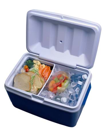 Photo looking into an open plastic cooler filled with ice, beverages, sandwiches, fruits and vegetables.