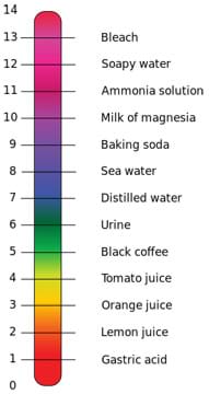 Diagram shows a 0 to 14 scale listing gastric acid, lemon juice, orange juice, tomato juice, black coffee, urine, distilled water, sea water, baking soda, milk of magnesia, ammonia solution, soapy water, bleach.