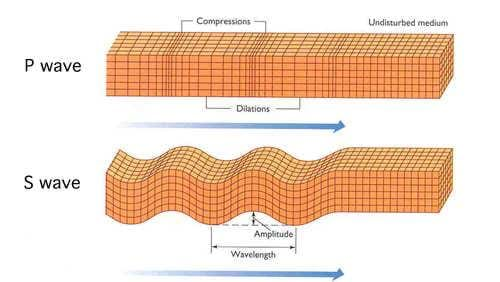 What is the difference between a P wave and an S wave?