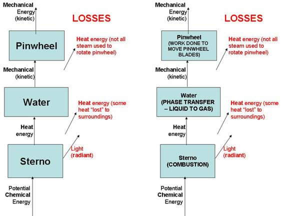 shop gut associated lymphoid