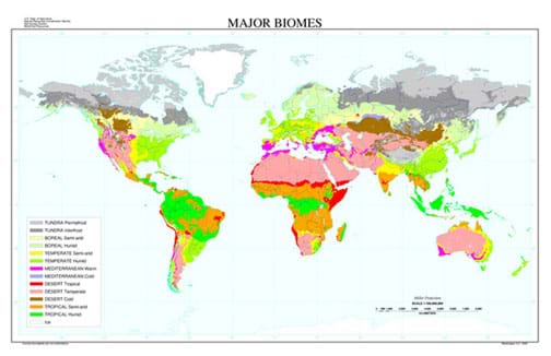 different biomes of the world essay Scientists divide the world into large natural areas called biomes desert and rainforest biomes are two that you've probably heard of each biome is known for . different biomes of the world essay Scientists divide the world into large natural areas called biomes desert and rainforest biomes are two that you've probably heard of each biome is known for .