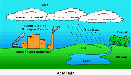 Water Crisis And Environmental Problems