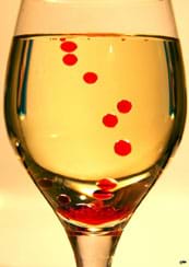 Round, red droplets are suspended in amber liquid in a wine glass. Round, red droplets are suspended in amber liquid in a wine glass.