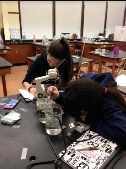 Two students sit at a lab table near one another.  One student is filling in day 3 of the worksheet and the other student is using a plastic pipette to take up pond water to make a wet mount slide. There is a compound light microscope between them.