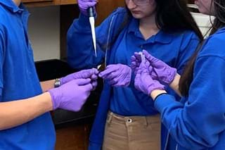 A group of three students wearing laboratory safety equipment practice using pipettes and chemistry tubes. 